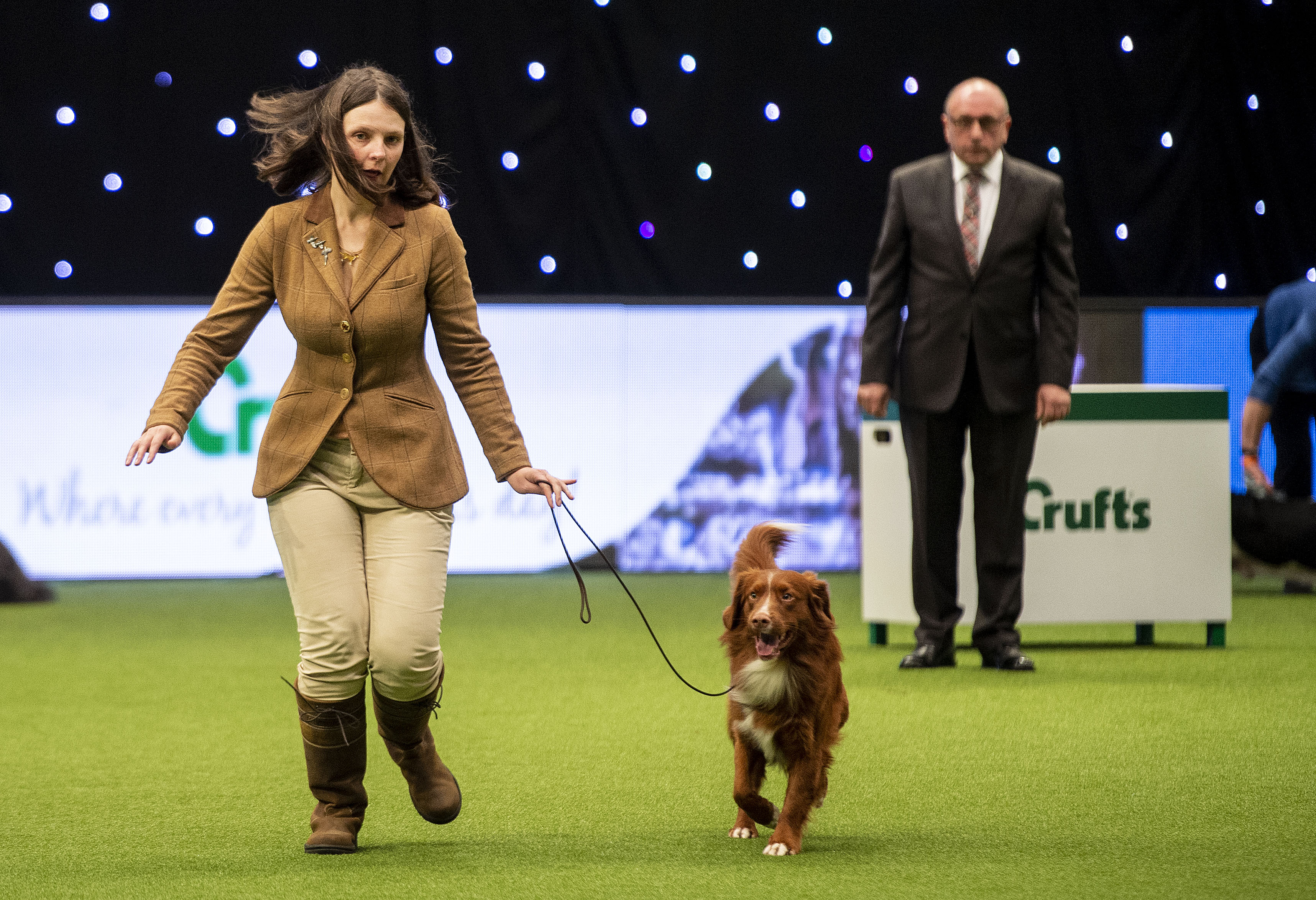 crufts ticket prices